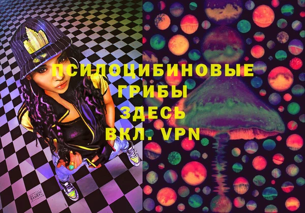 spice Лабытнанги