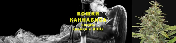 ПСИЛОЦИБИНОВЫЕ ГРИБЫ Магас