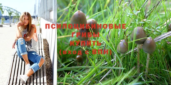 spice Лабытнанги