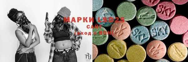 PSILOCYBIN Кулебаки