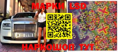 гидропоника Балаково