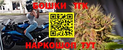 сатива Коммунар