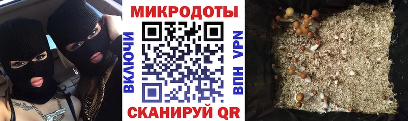 Галлюциногенные грибы мицелий  Купить  Петропавловск-Камчатский 
