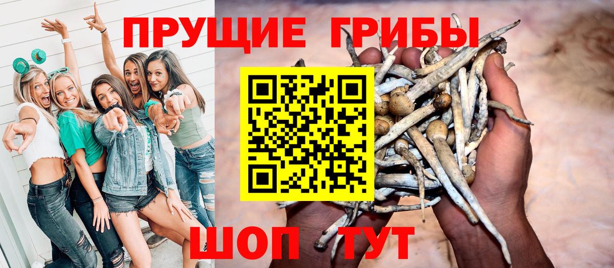 Галлюциногенные грибы мицелий  Вход с VPN  Петропавловск-Камчатский 