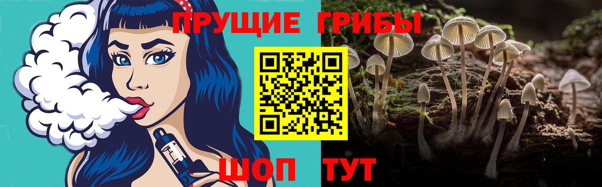 Галлюциногенные грибы GOLDEN TEACHER  Петропавловск-Камчатский 