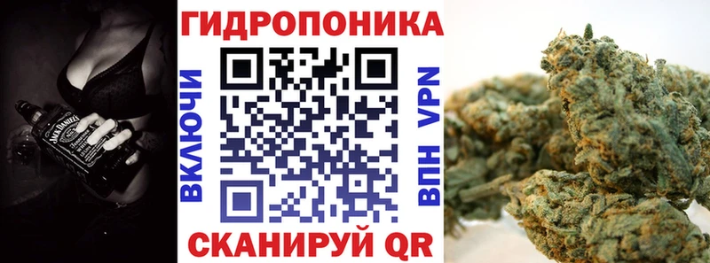 Канабис план  Купить где  Петропавловск-Камчатский 